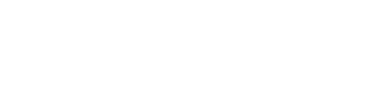 Racoun Branding Solutions